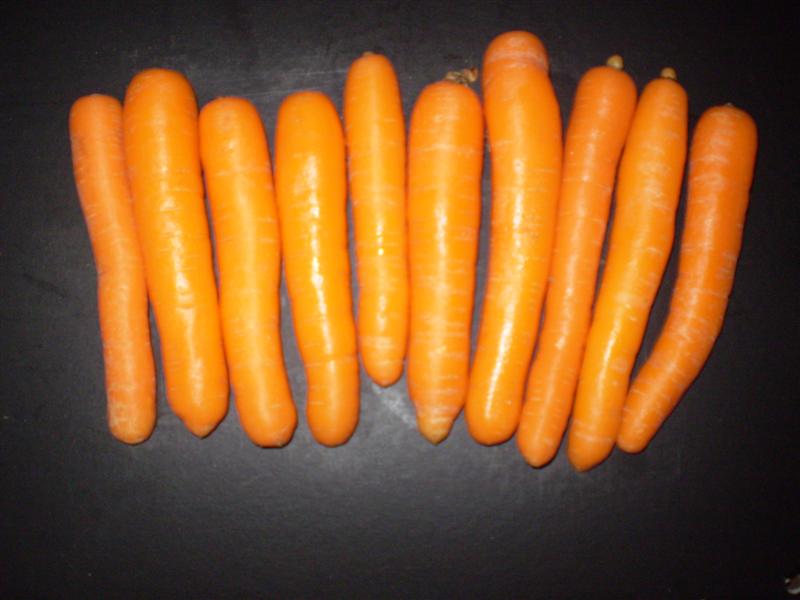 350 AMBROS