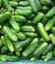 530 PICKLING