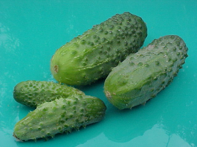 530 PICKLING